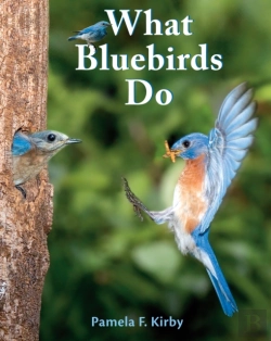 Bertrand.pt - What Bluebirds Do