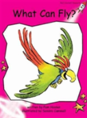 What Can Fly