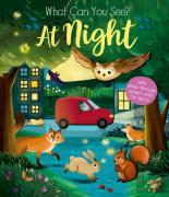 What Can You See At Night?