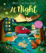 What Can You See At Night?