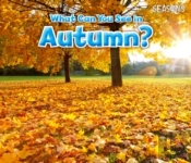 What Can You See In Autumn?