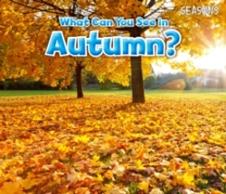Bertrand.pt - What Can You See In Autumn?