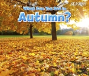 What Can You See In Autumn