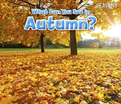 Bertrand.pt - What Can You See In Autumn
