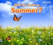 What Can You See In Summer