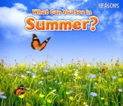 Bertrand.pt - What Can You See In Summer