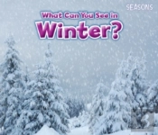 What Can You See In Winter