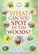 What Can You Spot In The Woods?