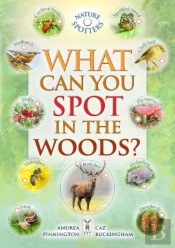 What Can You Spot In The Woods?