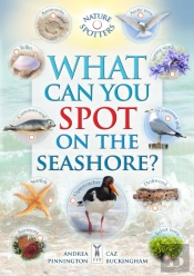 What Can You Spot On The Seashore?