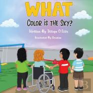 What Color Is The Sky?