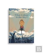 What Colour Is The Sky?