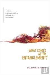 What Comes After Entanglement?