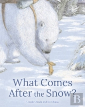 What Comes After The Snow?