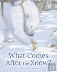 What Comes After The Snow?