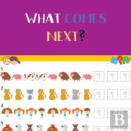 What Comes Next?