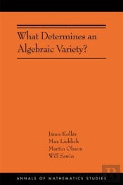 What Determines An Algebraic Variety?