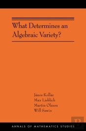 What Determines An Algebraic Variety?