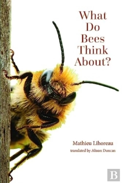 Bertrand.pt - What Do Bees Think About?