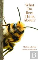 What Do Bees Think About?
