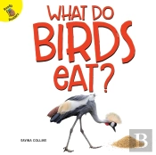 What Do Birds Eat?
