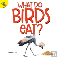 Bertrand.pt - What Do Birds Eat?