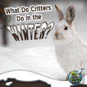 What Do Critters Do In The Winter?
