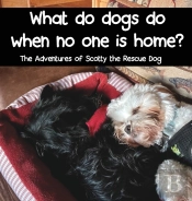 What Do Dogs Do When No One Is Home?