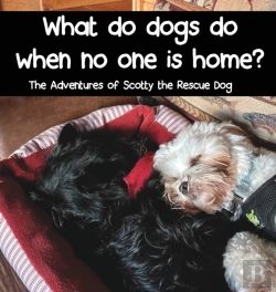 Bertrand.pt - What Do Dogs Do When No One Is Home?