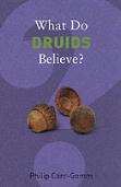 What Do Druids Believe?