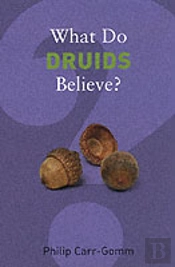 What Do Druids Believe?