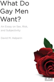 What Do Gay Men Want?