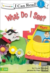 What Do I See?