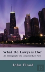 What Do Lawyers Do?