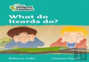 What Do Lizards Do?