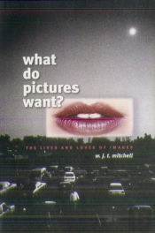 What Do Pictures Want?