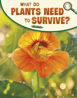 Bertrand.pt - What Do Plants Need To Survive?