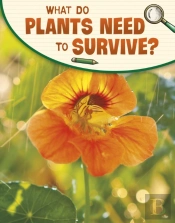 What Do Plants Need To Survive?