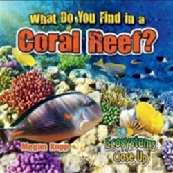 Bertrand.pt - What Do You Find In A Coral Reef?