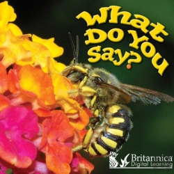 Bertrand.pt - What Do You Say?