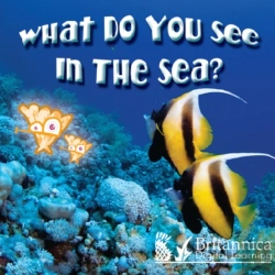 Bertrand.pt - What Do You See In The Sea?
