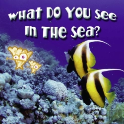 Bertrand.pt - What Do You See In The Sea?