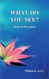 What Do You See?