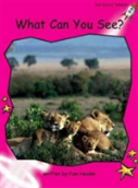 What Do You See?