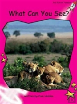 Bertrand.pt - What Do You See?