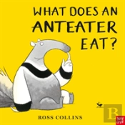 What Does An Anteater Eat