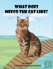 What Does Meeco The Cat Like?