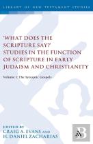 'What Does The Scripture Say?' Studies In The Function Of Scripture In Early Judaism And Christianit