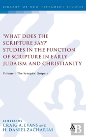 'What Does The Scripture Say?' Studies In The Function Of Scripture In Early Judaism And Christianit