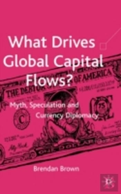 What Drives Global Capital Flows?
